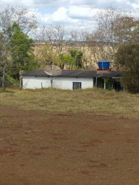 Terras sentido Indianópolis