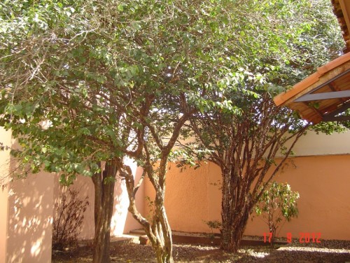 Foto de Casa - Praça da Exposição