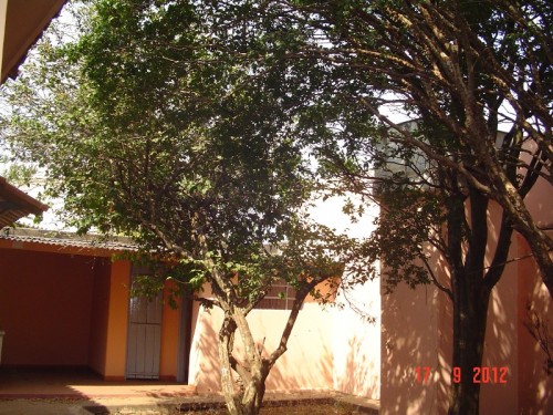 Foto de Casa - Praça da Exposição
