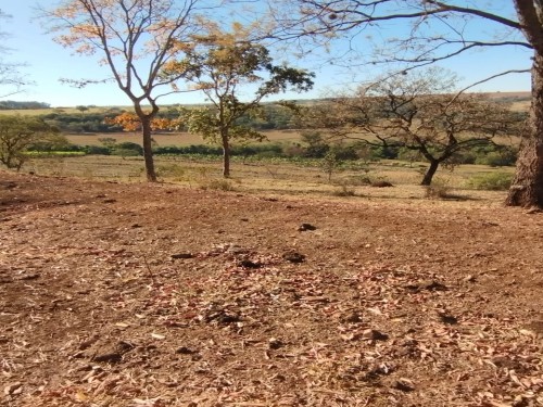 Foto de Terras sentido Indianópolis