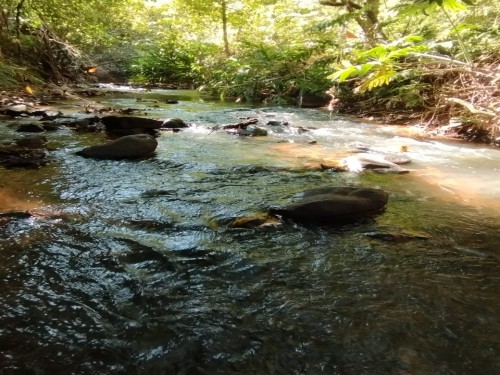Foto de Terras sentido Indianópolis