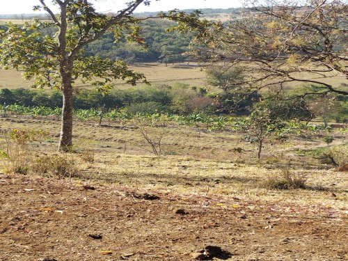 Foto de Terras sentido Indianópolis