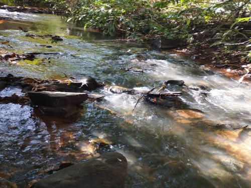 Foto de Terras sentido Indianópolis