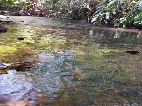 Foto de Terras sentido Indianópolis