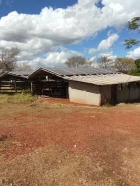 Foto de Terras sentido Indianópolis