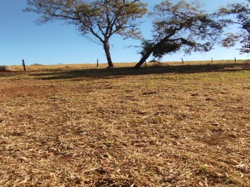 Foto de Terras sentido Indianópolis