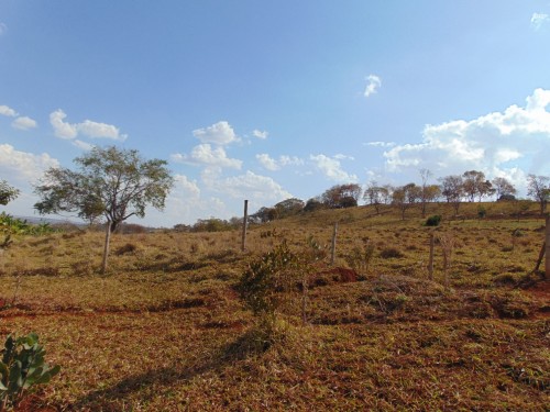 Foto de Terras sentido Indianópolis