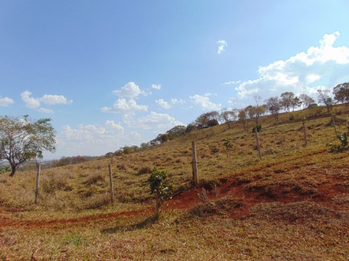 Foto de Terras sentido Indianópolis