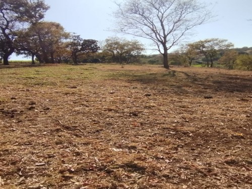 Foto de Terras sentido Indianópolis