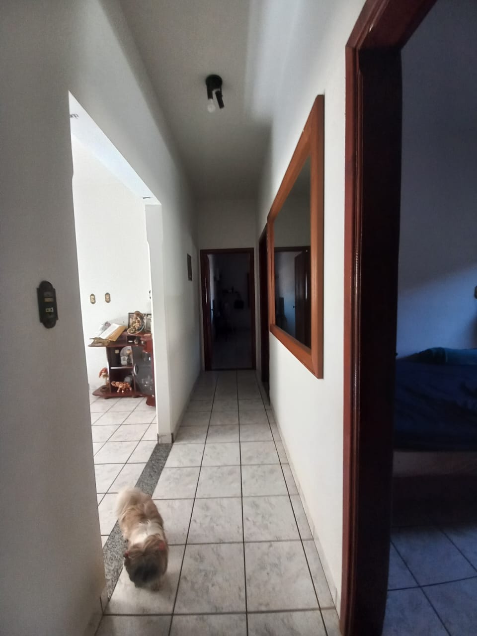 Foto de Casa - Bairro Miranda